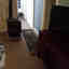 Photos des clients 1 de 1
