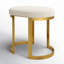 Cianna Accent Stool-1727411385