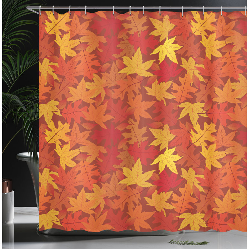 Ensemble de rideau de douche + crochets, H 75 po x l 69 po