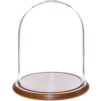 Jenett Glass Display Dome Cloche