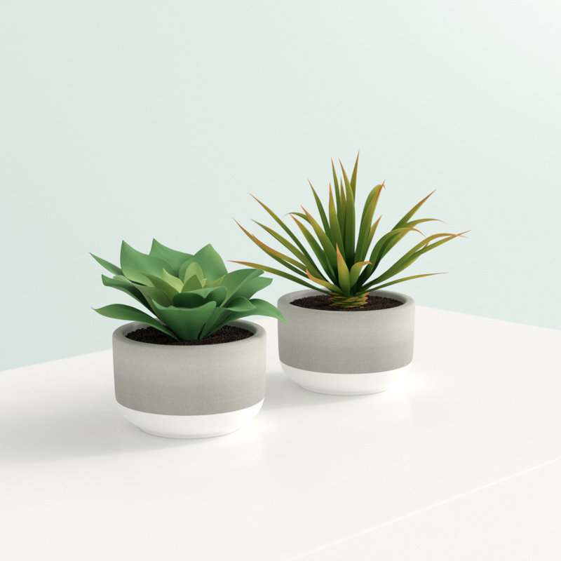 Ensemble de 2 succulentes yucca artificiels en pot 2 pièces 2,5 po