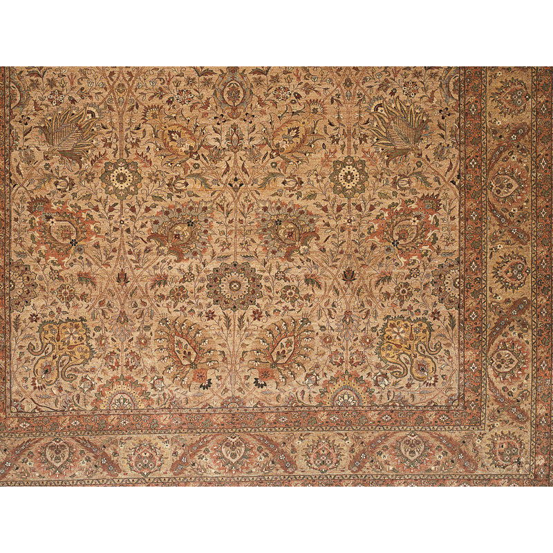 Wool Oriental Area Rug in Gold