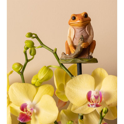 Asel UV Resistant Garden Statue