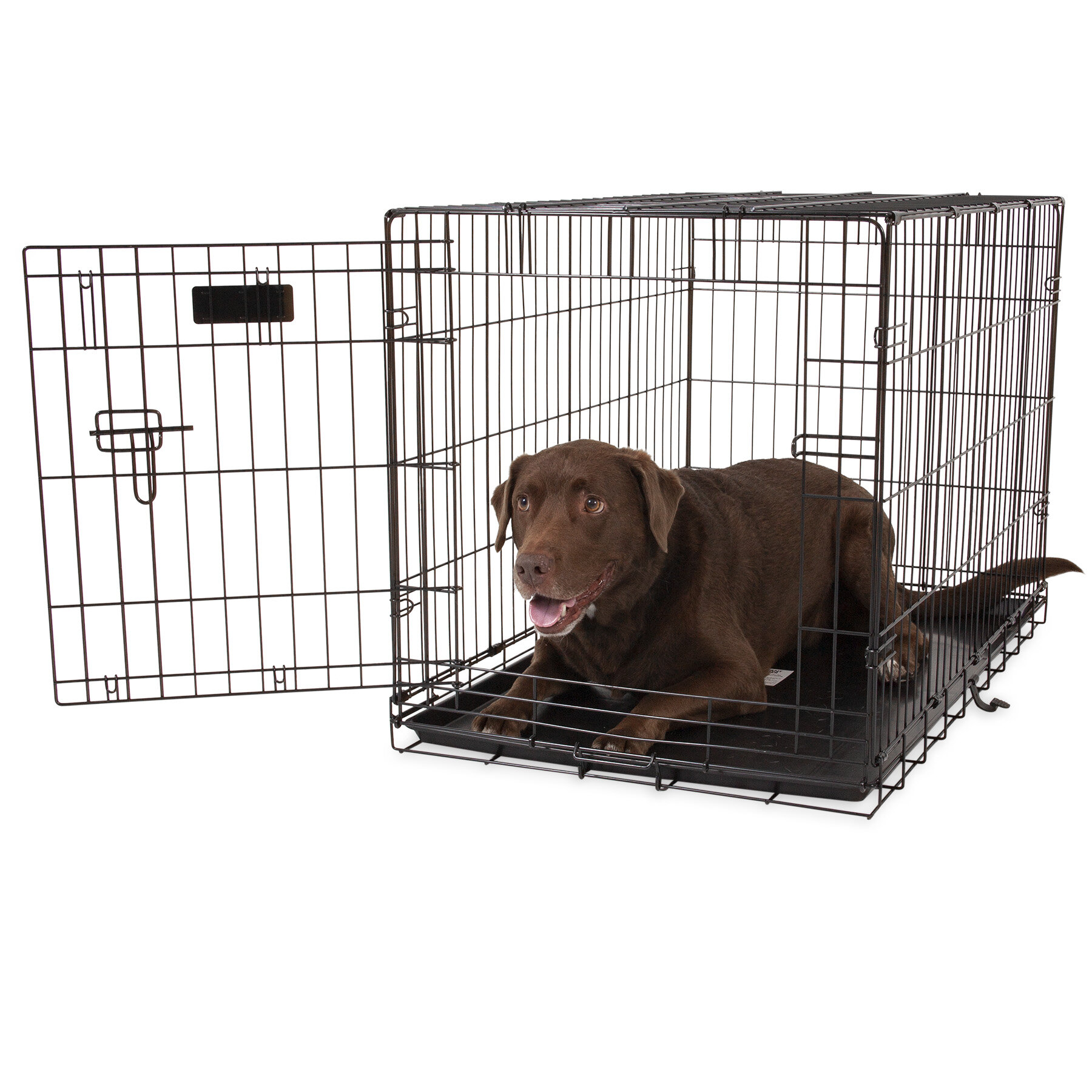 Single door 2025 dog crate