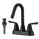 Centerset 2-handle Bathroom Faucet with Drain Assembly