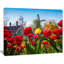 Tulipes au Pays-Bas - reproduction de photo sur toile tendue-19408558