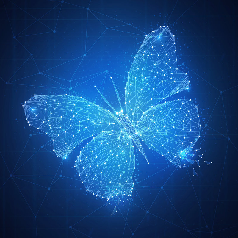 Polygon Butterfly - Wrapped Canvas Print, 30cm H x 30cm W x 3.8cm D