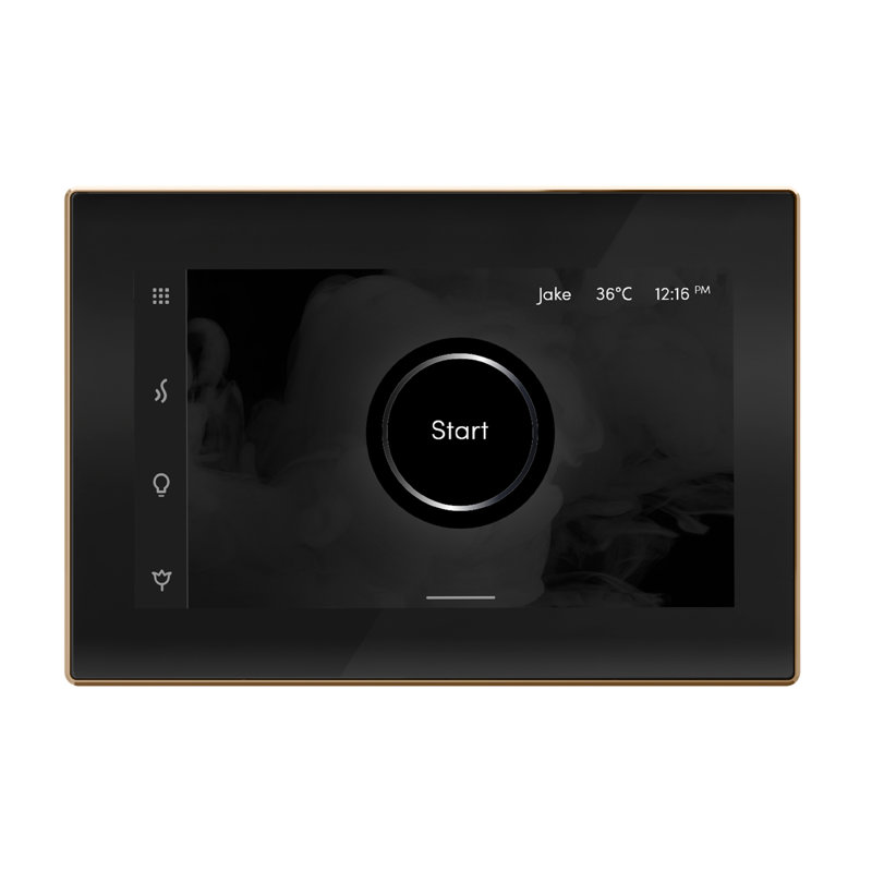 iSteamX Steam Shower Control and Steamhead, Black/Polished Gold