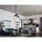 Conte 52'' Ceiling Fan with LED Lights-779018497-779018750