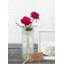 Vase de table en verre Abelard