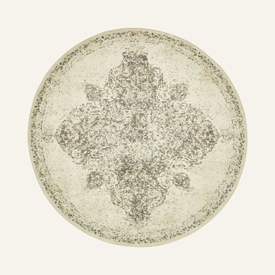 Tobitha Oriental Indoor Rug