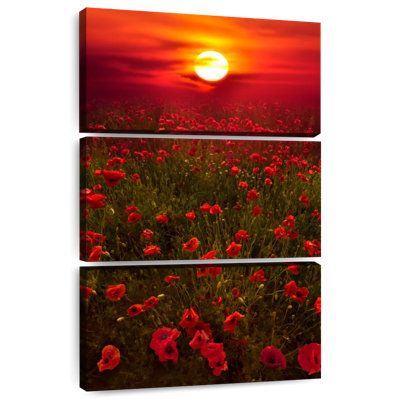 Coucher de soleil chaud Harnek