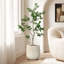 Grands pots à fleurs texturés H 14,4 po, grand pot blanc cassé avec trou de drainage