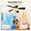 Ventilateur de plafond standard à 5 pales de 42 po Ordaz-257374272-257374301-257374275
