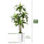 180cm Tree