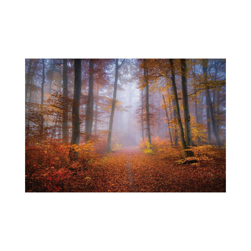October Trail By Norbert Maier - Wrapped Canvas Photograph by Norbert Maier - Wrapped Canvas Print, 66.04 cm H x 45.72 cm W
