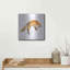 «J passer le renard» par Katrina Pete-1667296323
