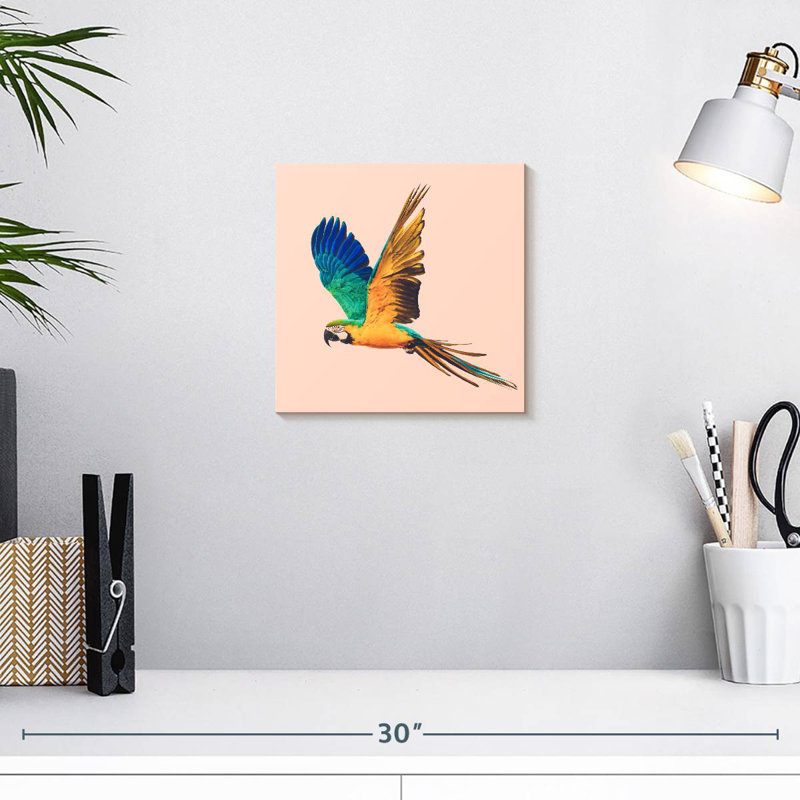 Brampt Macaw Parrot Flying, 10" H x 10" W
