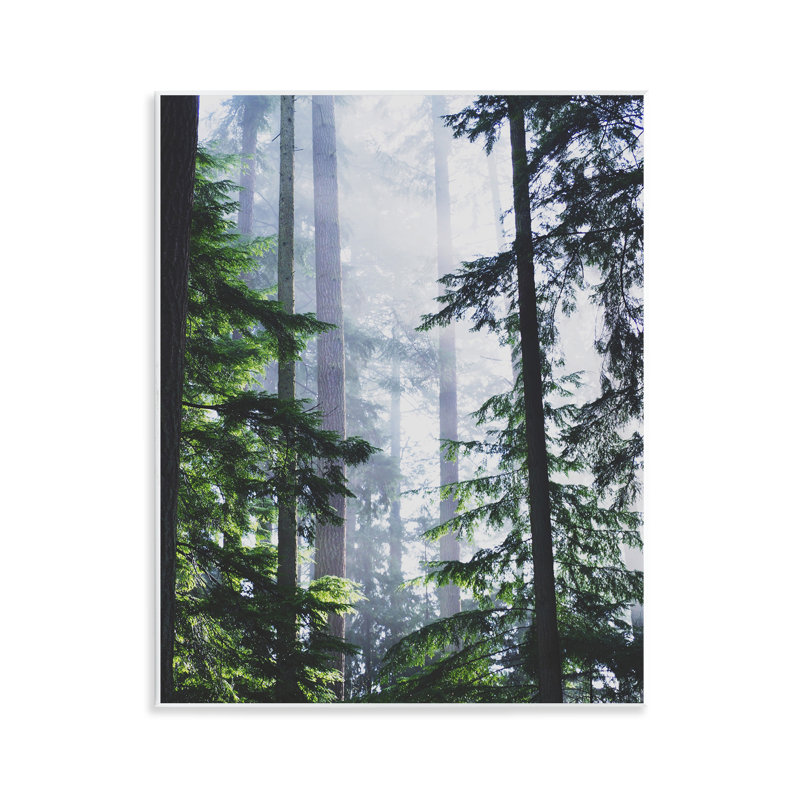 Art mural "Foggy Forest View" par Gail Peck