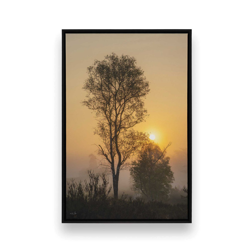 «Foggy Sunrise» par Martin Podt, reproduction d'art, Framed Canvas, 24 W x 36 H, Black