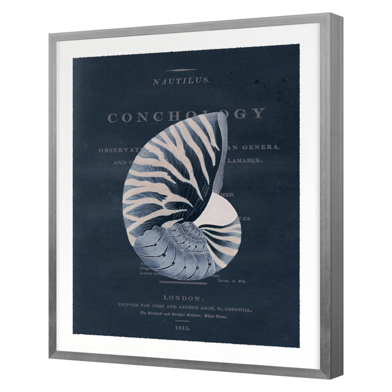 Conchology Nautilus par Porter Design - impression d'un seul cadre