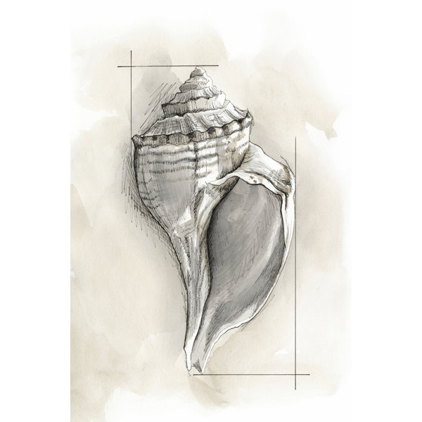 House of Hampton Shell Schematic I | Wayfair.co.uk