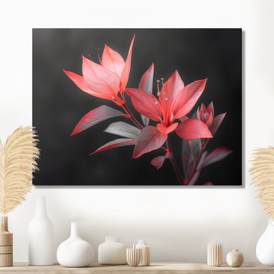 Palmea - Hibiscus, reproduction d'art murale
