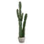Fausse plante d'intérieur décorative en forme de cactus dans un pot en argile de ciment