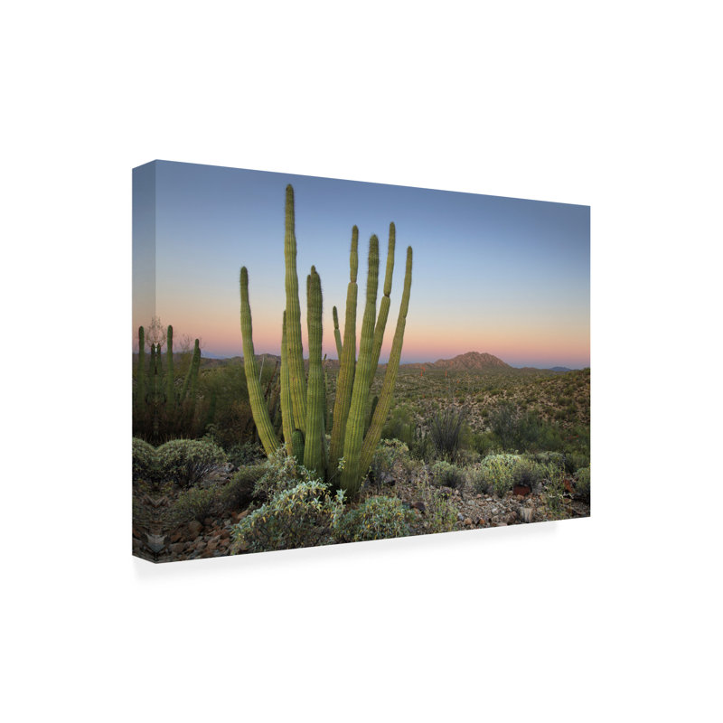 Contemporary, 30" H x 47" W x 2" D