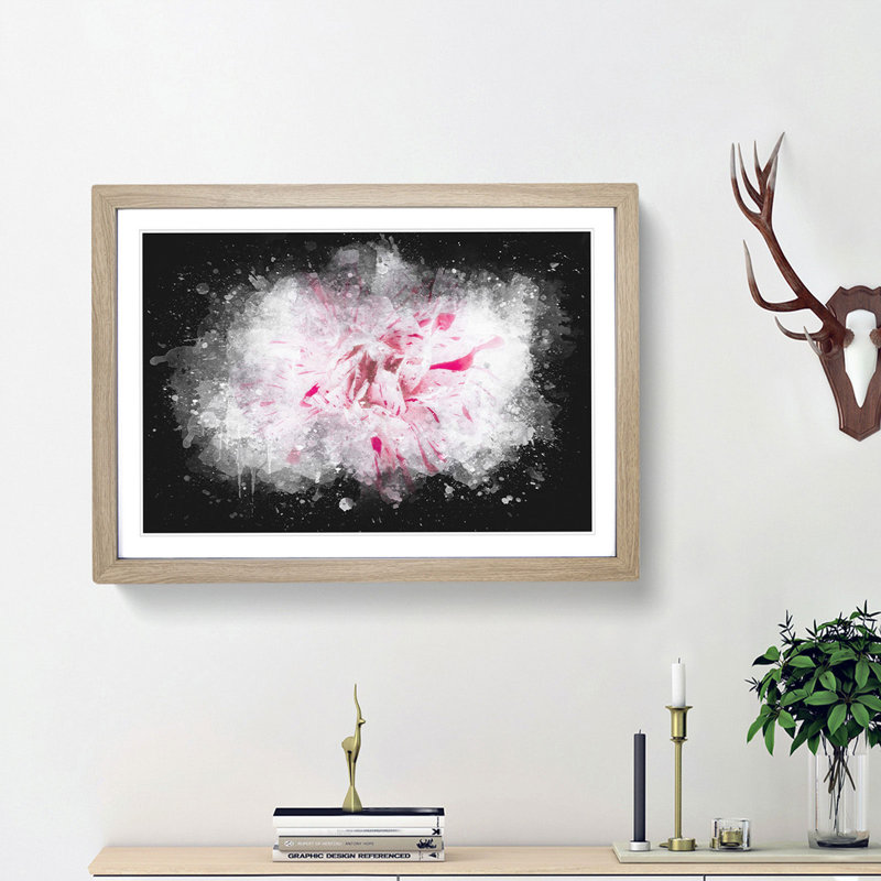 Striking White & Pink Carnation - Picture Frame Graphic Art Print, Oak Framed, 24cm H x 33cm W x 2cm D