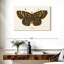 Papillon antique II-107923788