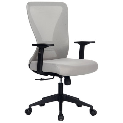 Mesh Task Chair