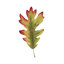 " Fall Leaf Study II " by Grace Popp Painting Print
