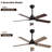 Felicitas 42'' Ceiling Fan with LED Lights-977036135-977036153