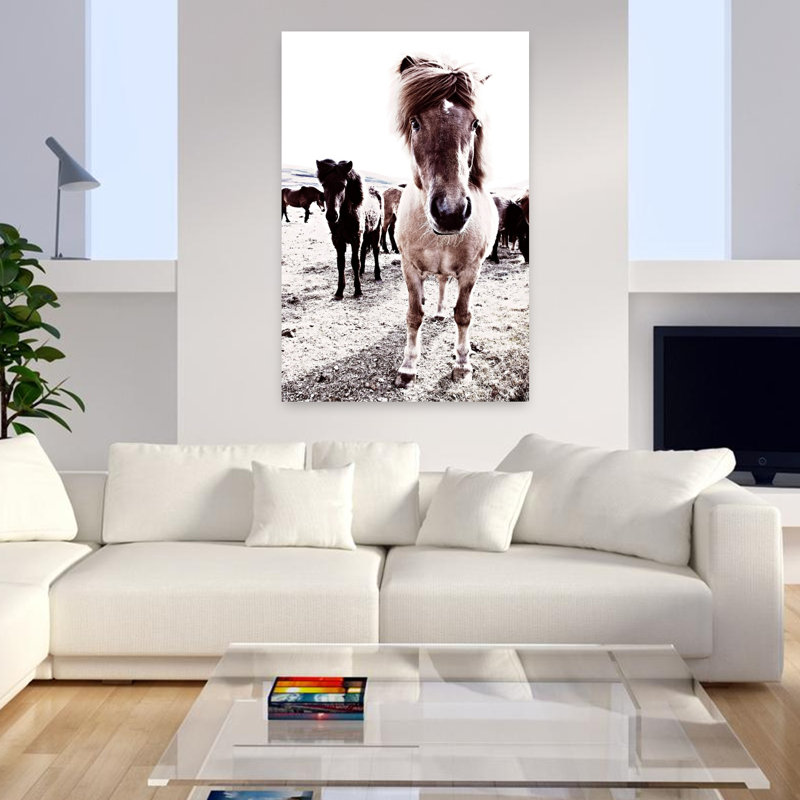 Islande, cheval, Rikka, art contemporain abstrait, paysage de cheval