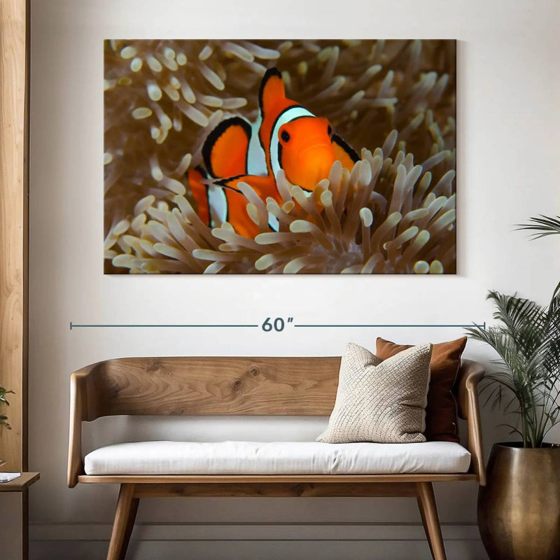 Brampt Wakatobi Anemonefish Pet, 34" H x 51" W