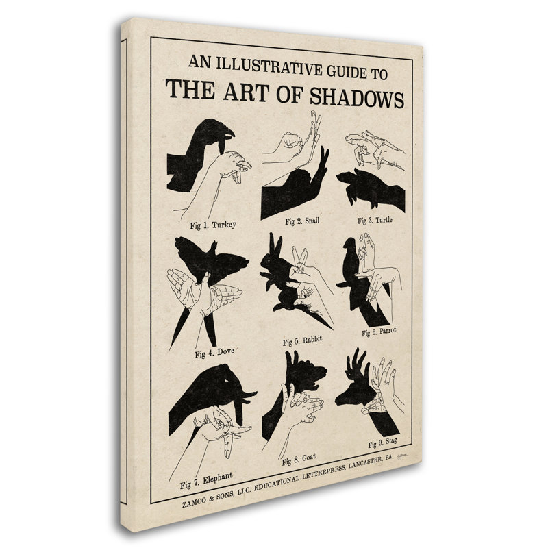 « the art of shadows x », impression sur toile tendue, H 47 po x l 35 po