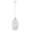 Luminaire suspendu en forme de dôme à 1 lumière Bion-1427088384