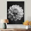 Élégante fleur monochrome noire et blanche Dahlia I - art mural Dahlia-192001969-192001968