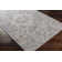 Oriental Indoor Rug