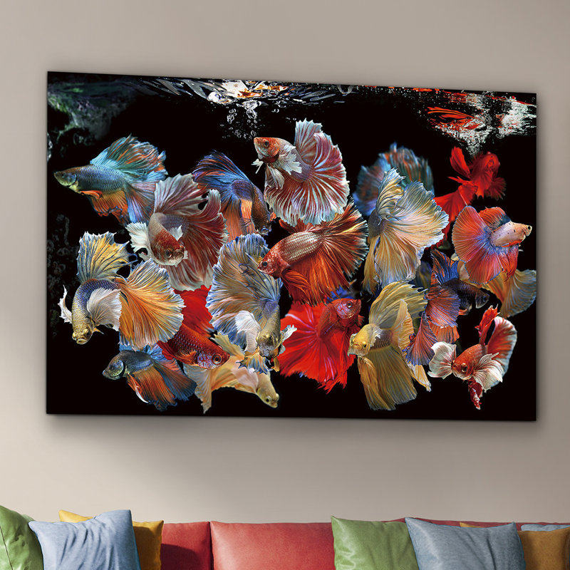 Peces Siam - No Frame Print on Glass