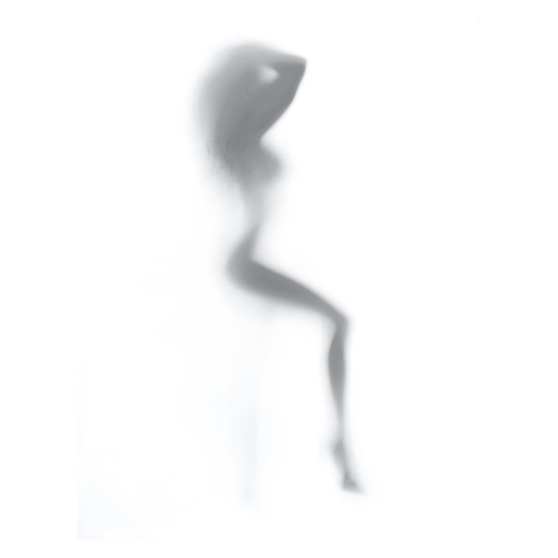 «Whispered Silhouette Minimalist», art mural sur toile - 30 po x 40 po