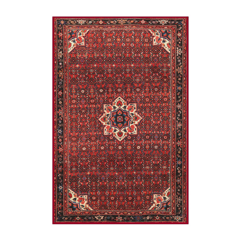 Tapis traditionnel rouge / beige Sanil, Rectangle 4 pi x 6 pi