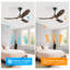 Ceiling Fan With Remote-1702050623-1710145977