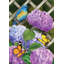 Drapeau de la maison d'hortensias-123842253