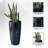 Self-Watering Pot Planter-829076706