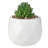 4.3'' Faux Succulent in Ceramic Pot