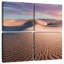 Alvord Mesquite Flat Dunes-109036691