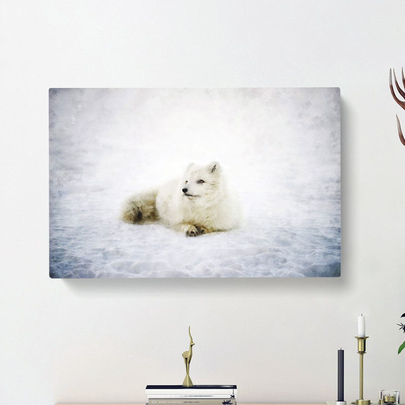 Resting Arctic Fox - Wrapped Canvas, 50cm H x 76cm W x 3cm D