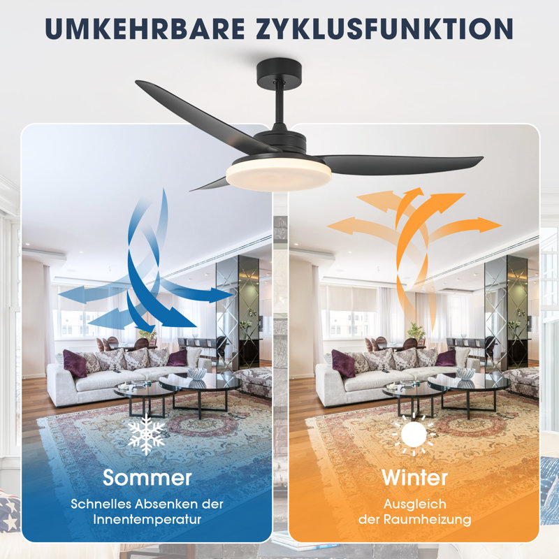 Cherrise 132cm Ceiling Fan with LED Lights, Black